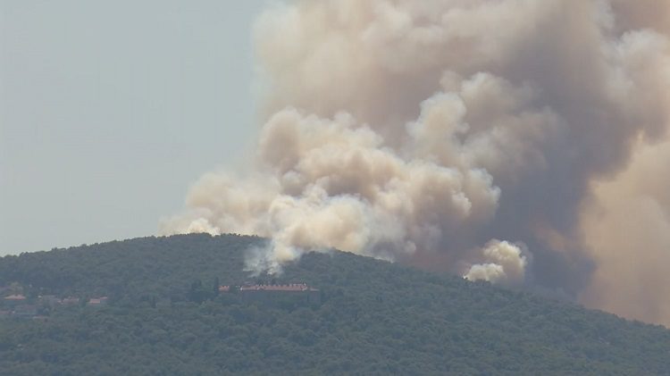 Heybeliada’daki orman yangını kontrol altında