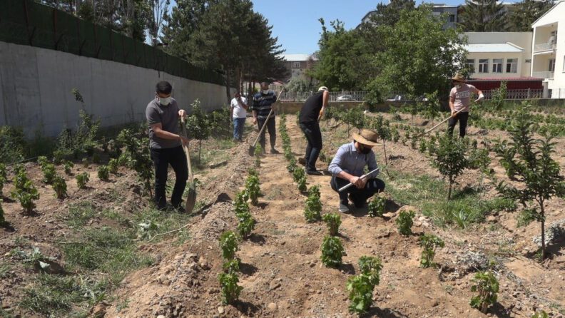 Endemi̇k Erci̇ş Üzümü Gelecek Nesi̇ller İçi̇n Toprakla Buluşturuldu