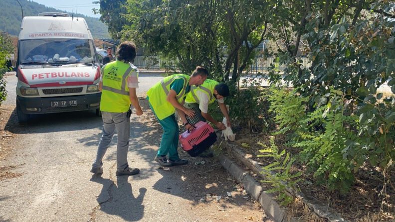 Muğladaki̇ Yangında Hayvanları Tahli̇ye Edi̇p Besledi̇ler
