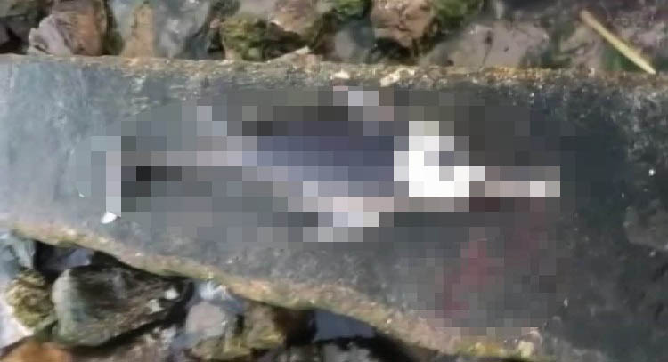 Bursa’da vahşet! Silahla vurulmuş halde bulundu