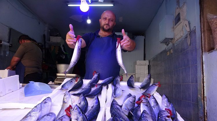 Palamut tezgahlarda yerini aldı