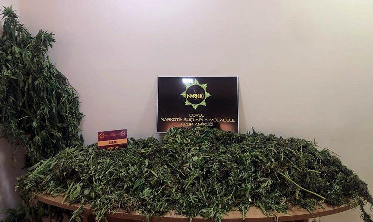 Tekirdağ’daki ‘çiftlik’ operasyonunda 2 tutuklama