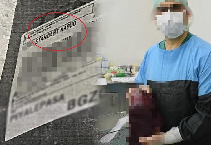 Kargoda kaybolan dalak için verilen cezaya isyan etti