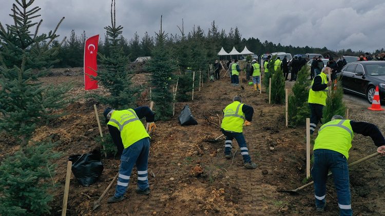 Bursa’da 7,5 milyon fidan toprakla buluşacak