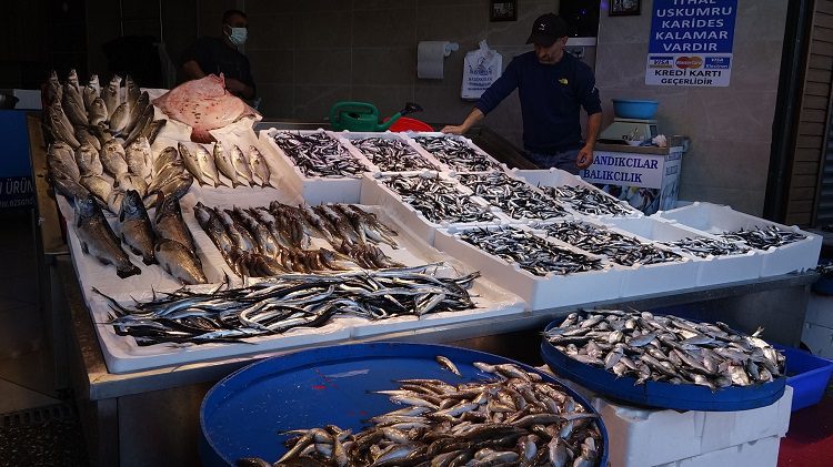 Karadeniz’de hamsi bolluğu