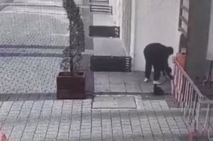Bursa’da kağıt toplayıcısı kedi mama kutusunu çaldı