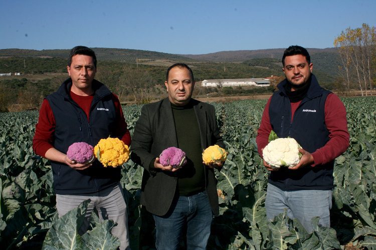 Renklendirici, boya ve GDO yok! Bursa’da üretiliyor