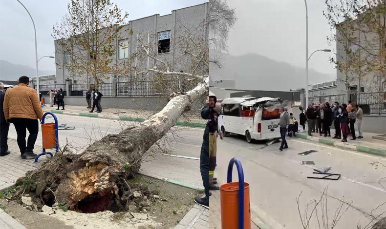 Bursa’da çınar ağacı minibüsün üzerine devirdi