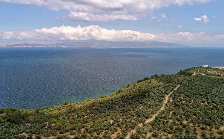 Bursa Mudanya Belediyesi’nden ‘Deniz Çalıştayı’
