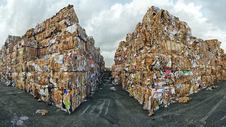 Bursa’da 425 ağaç kesilmekten kurtarıldı