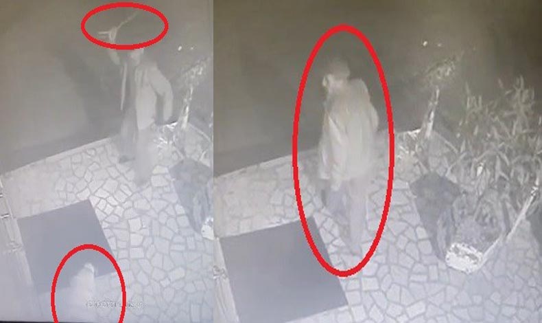Bursa’da engelli köpeği sopayla dövdü