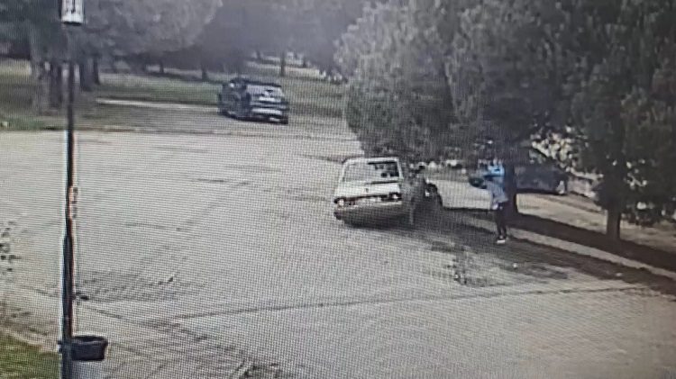Otomobili antrenörün üzerine sürdü, köpeği yaraladı