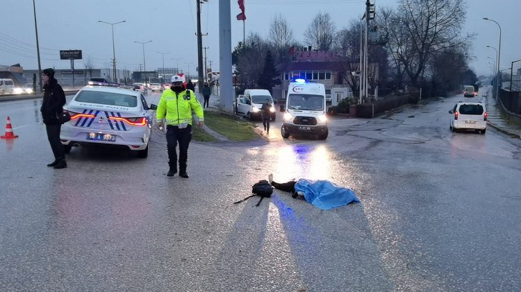 Bursa’da otomobilin çarptığı kadın öldü