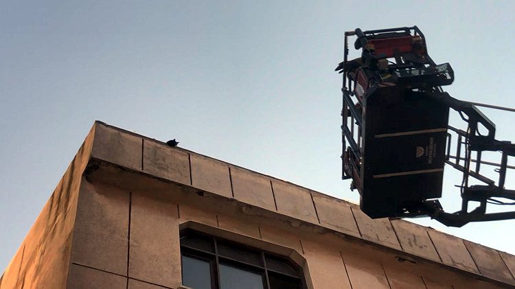 Avcılar’da kedi için yıkıma ara verildi