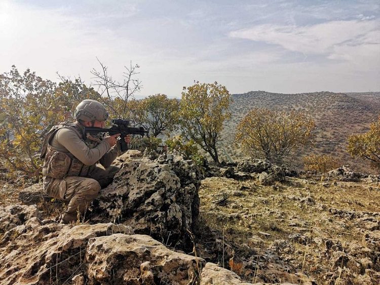 Mardin’de ‘Eren Kış-29 Operasyonu’ başlatıldı