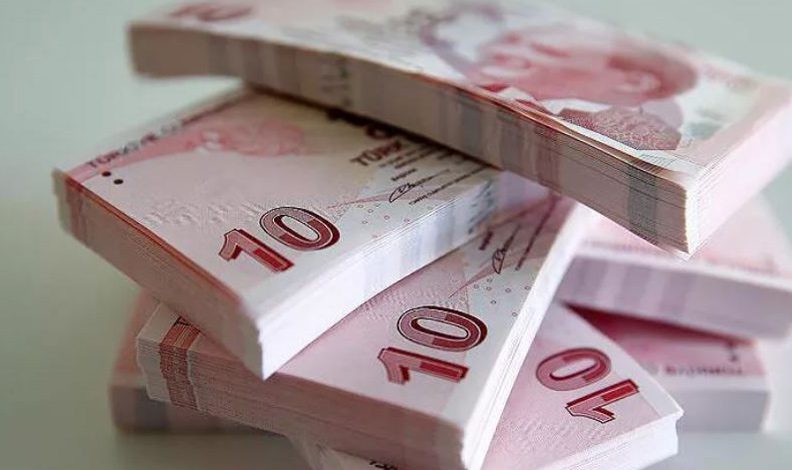 Yeni 10 liralık banknotlar tedavülde
