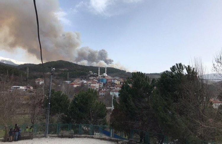 Bursa’da iki farklı noktada orman yangını!