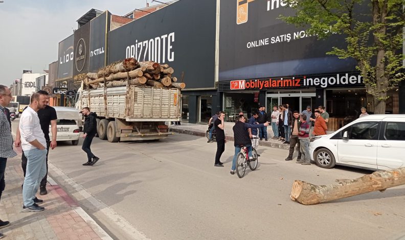 Kamyondan düşen tomruk araçlara zarar verdi