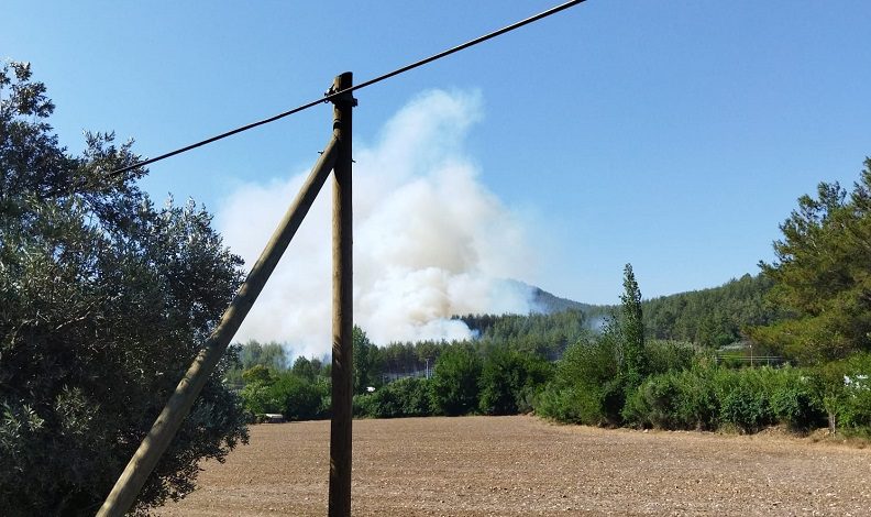 Muğla’da bir orman yangını daha