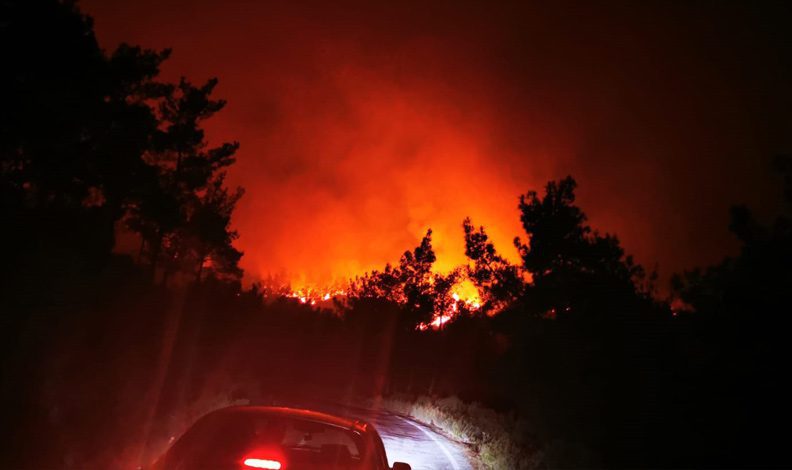 Marmaris’te orman yangını! Müdahale yeniden başladı