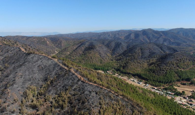 Marmaris’teki orman yangını tamamen kontrol altında