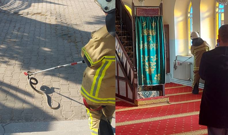 Bursa’da camiye yılan girdi