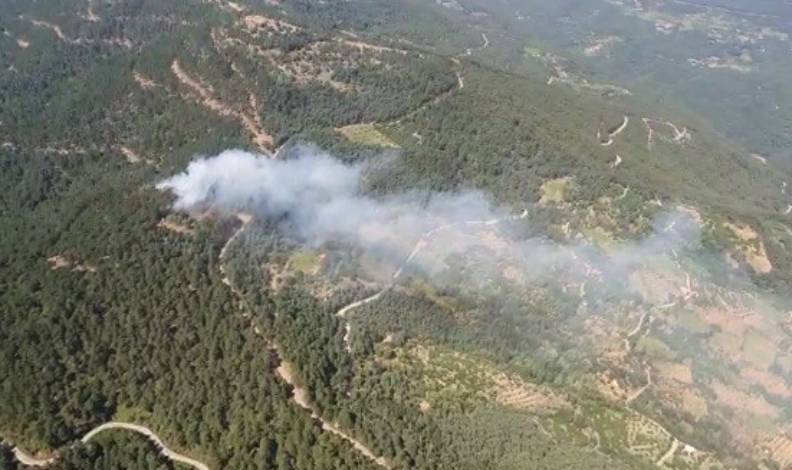 İzmir’de ormanlık alanda yangın