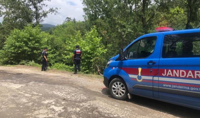 Ortağını öldürdü, ormanlık alana bıraktı