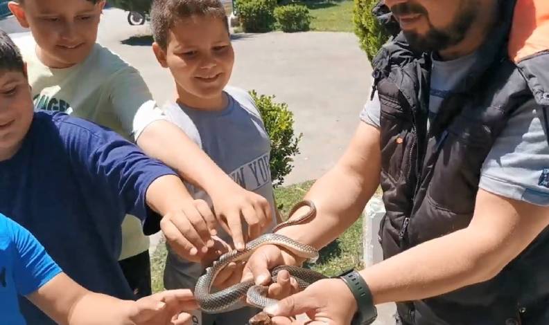 Parktaki çocuklara yılan sevdirdi