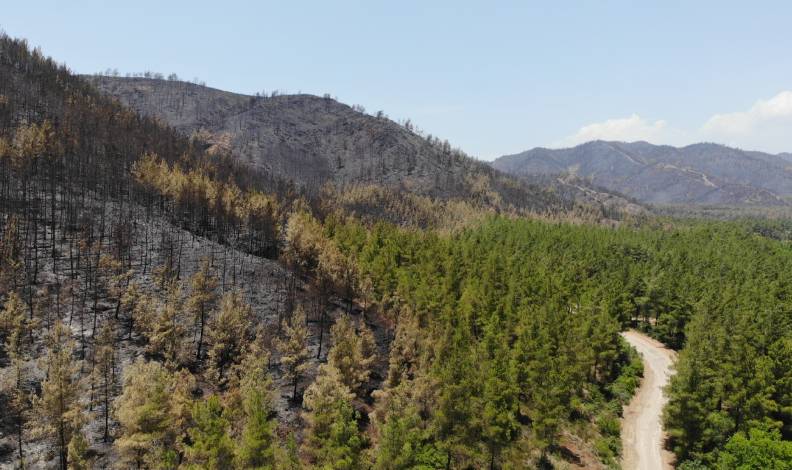 Marmaris’te söndürülen alanlar havadan görüntülendi