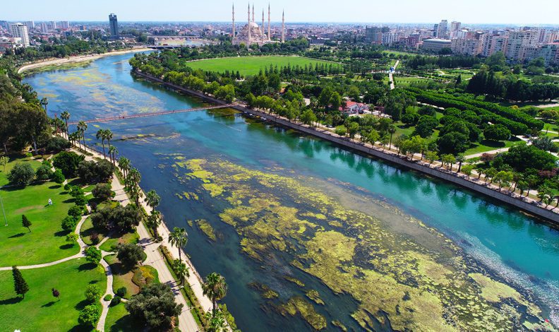 Seyhan Nehri’nde yosun istilası