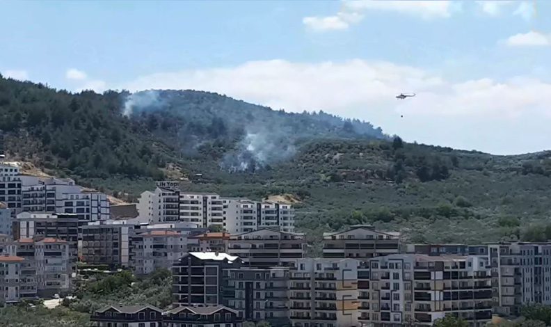 Bursa Mudanya’da zeytinlik alanda yangın