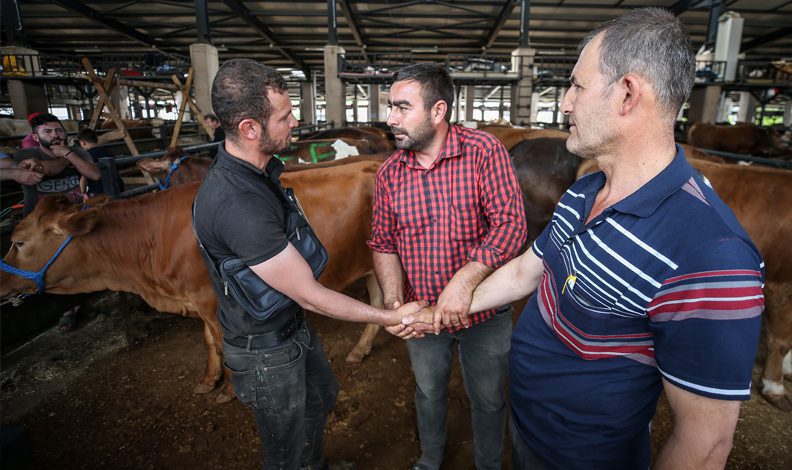 Bursa’da kurbanlıklar için son pazarlıklar yapılıyor