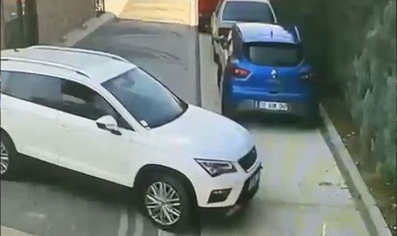 Bursa’da ezdiği köpeğe aldırmadan aracını park etti