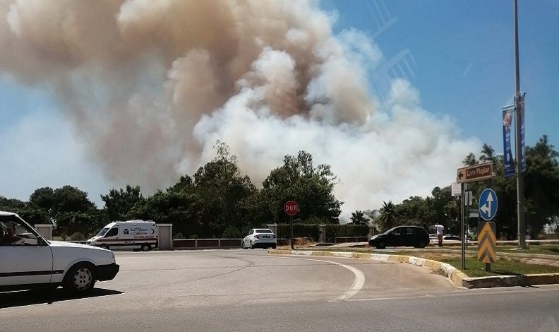 Antalya’da orman yangını