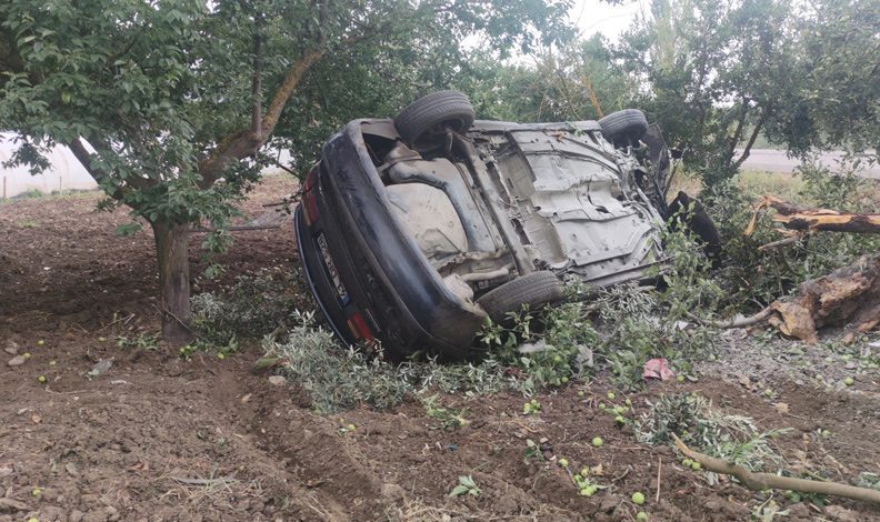 Bursa’da otomobil zeytinliğe devrildi