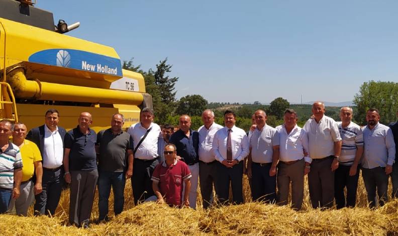 Mudanya’da buğday hasadı başladı