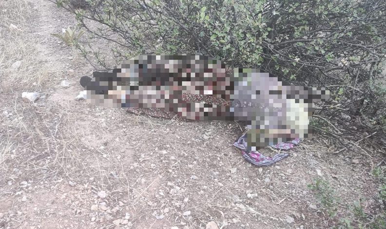 Kayıp olarak aranıyordu! Acı haberi geldi