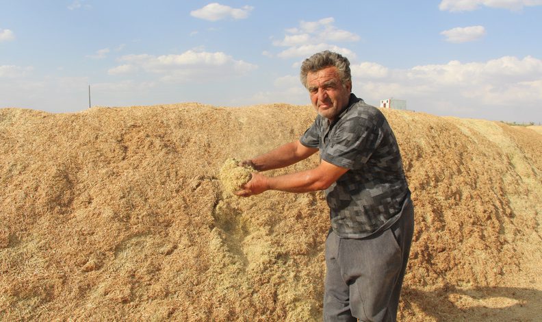 Çiftçilerin kış hazırlığı şimdiden başladı