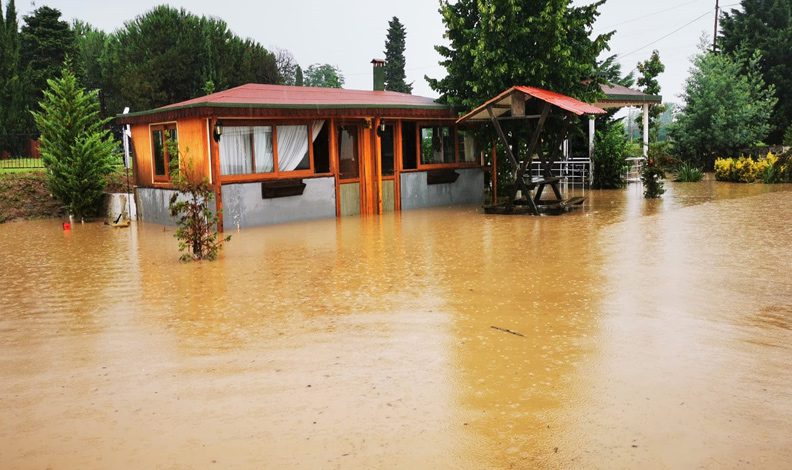 Ordu’da dereler taştı hayvanlar telef oldu