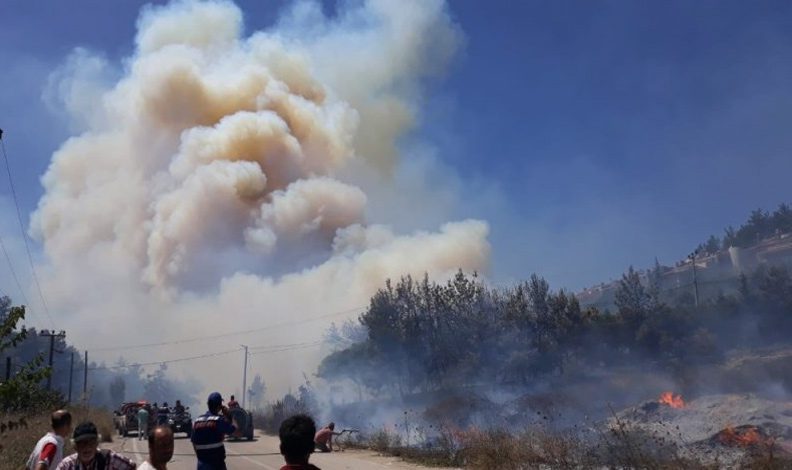 Bursa Valiliği’nden orman yangını uyarısı