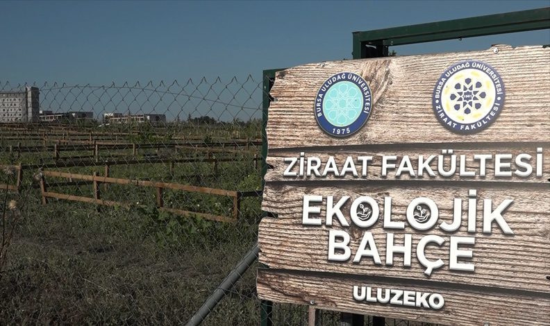 BUÜ personeli doğa ile bütünleşiyor