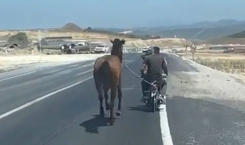 Bursa’da atı motosiklete bağlayarak götürdü