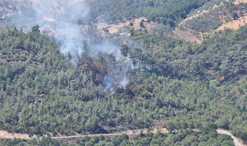 Balıkesir’de korkutan orman yangını