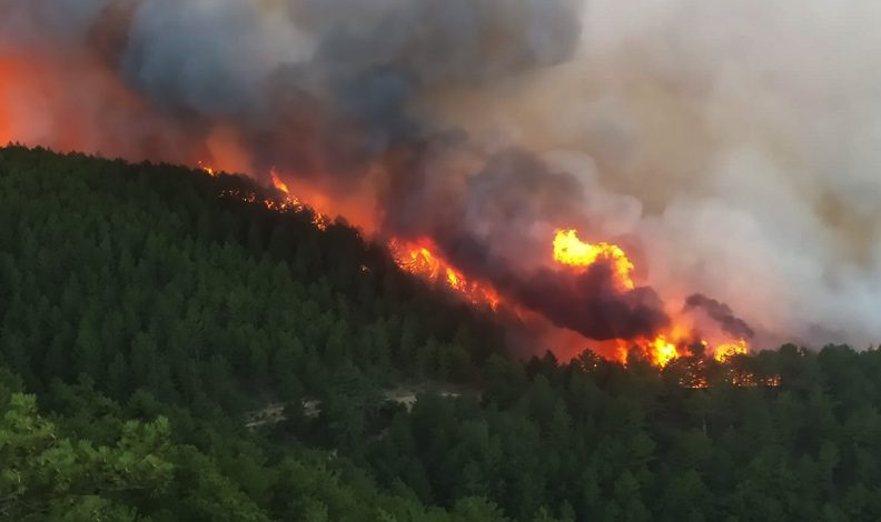 Kütahya’daki orman yangını kontrol altına alındı