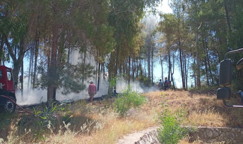 Serik’te orman yangını kontrol altına alındı