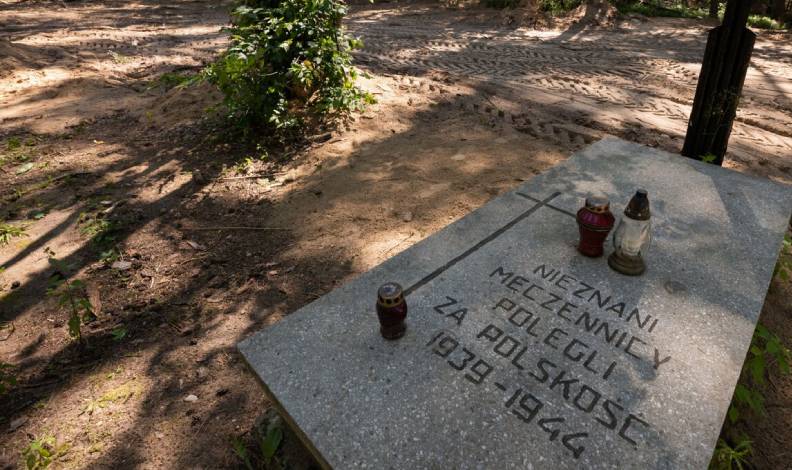 Polonya’da Nazi kurblarının külleri bulundu