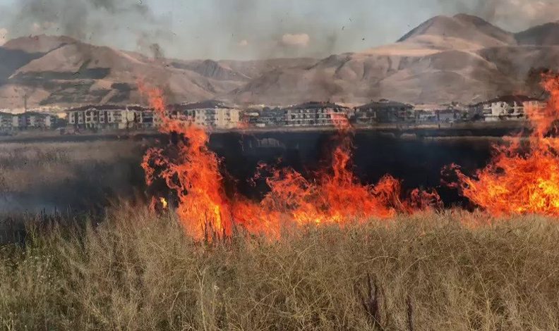 Erzurum’da çocukların oyunu buğday tarlasını yaktı