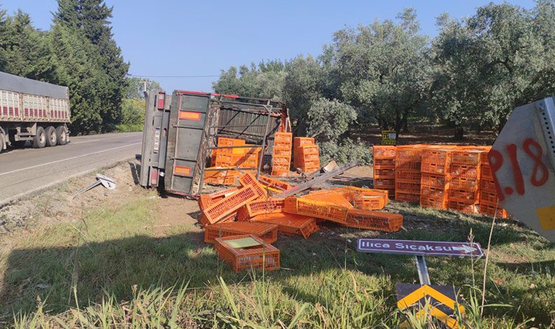 Bursa’da canlı tavuk yüklü TIR devrildi