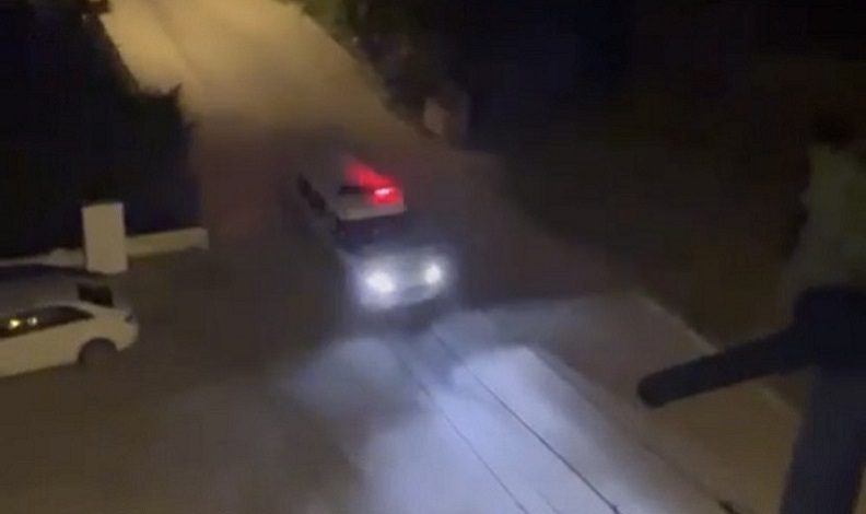 Bursa’da polis domuzları sirenle kovaladı